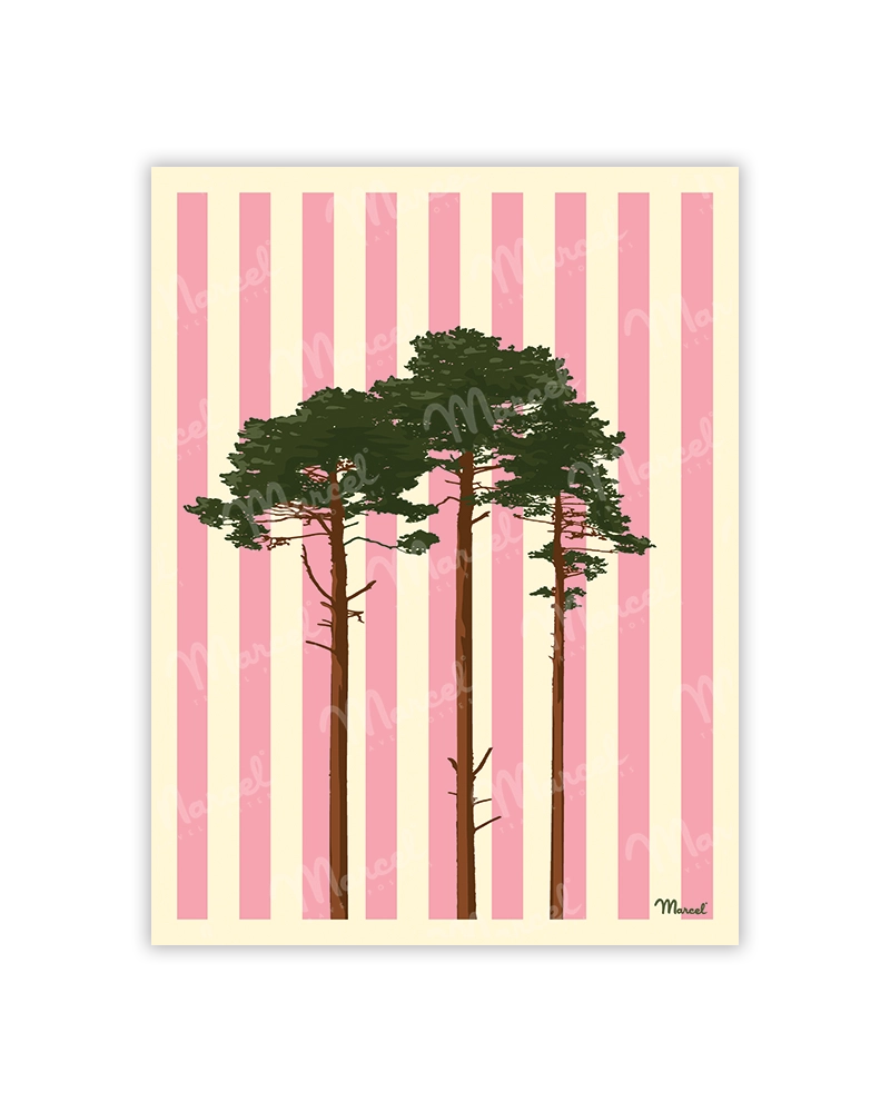 des pins