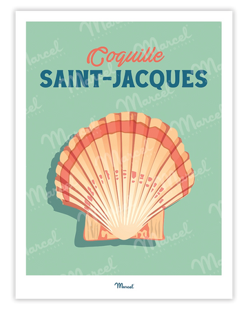 Affiche Travel Color "Coquille Saint-Jacques"