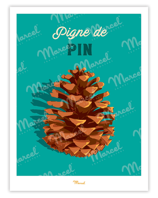 Affiche Travel Color "Pigne de Pin"