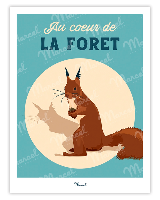 Affiche Travel Color "Ecureuil au coeur de la forêt"