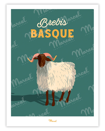 Travel Color Poster “Basque Sheep”