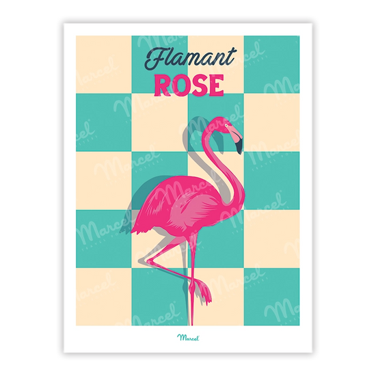 Flamant_Rose
