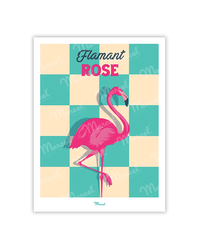 Flamant_Rose