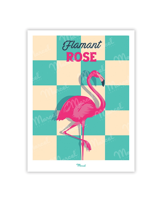 Flamant_Rose