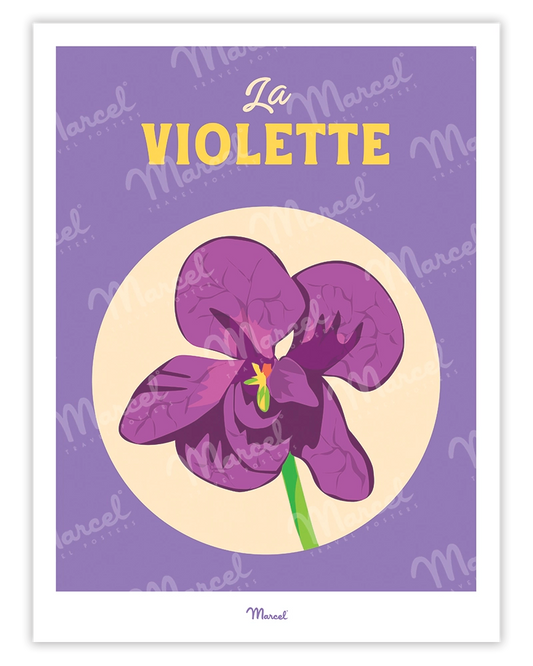Affiche Travel Color TOULOUSE "La violette"
