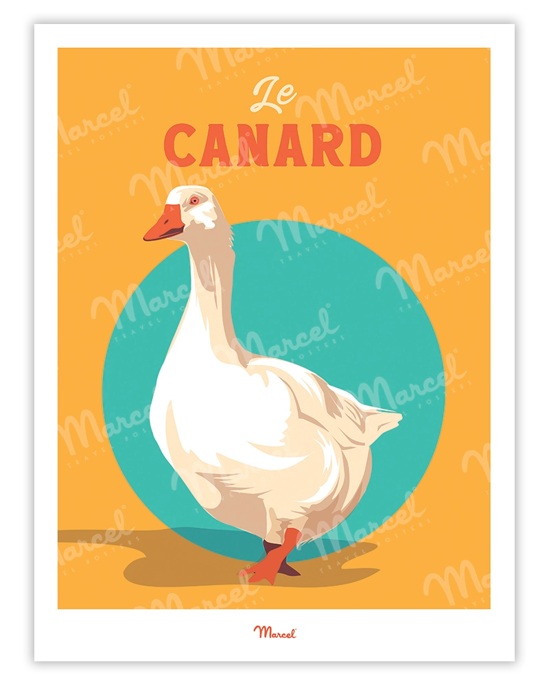 Affiche Travel Color