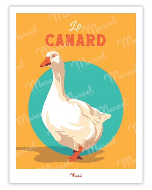 Affiche Travel Color "le Canard du Sud-Ouest"