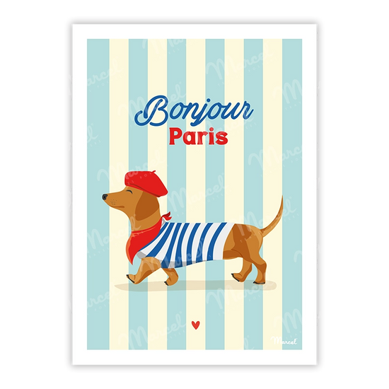 Carte postale Travel Color PARIS "Teckel"