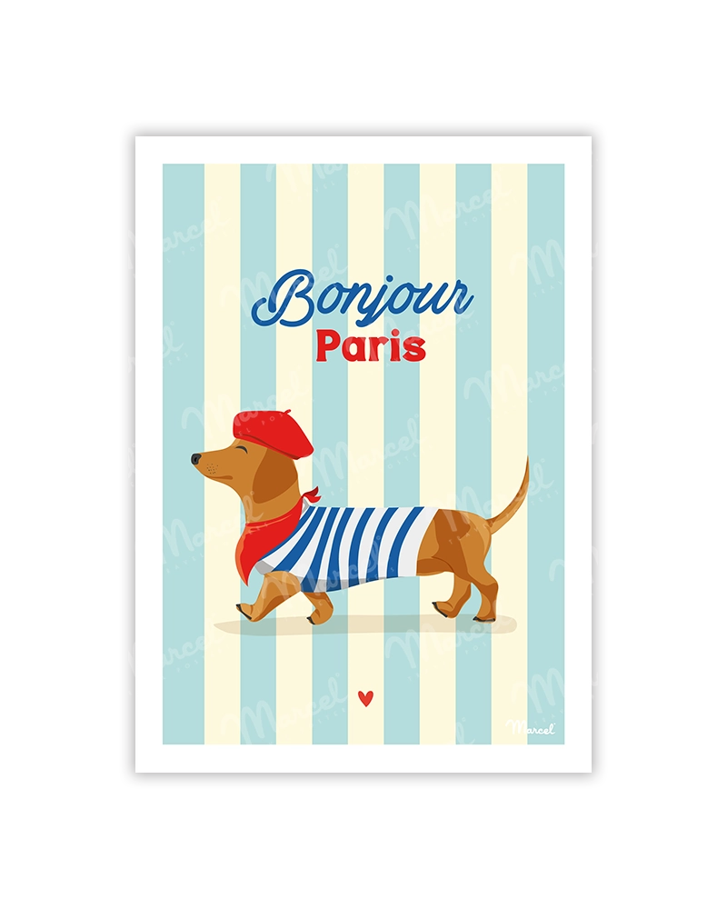 Carte postale Travel Color PARIS "Teckel"