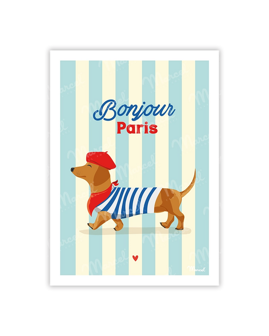 Carte postale Travel Color PARIS "Teckel"