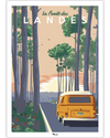 Poster Coloriage Mystère "Forêt des LANDES"