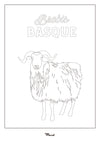 A5 Postcard to color BASQUE COUNTRY "Sheep"