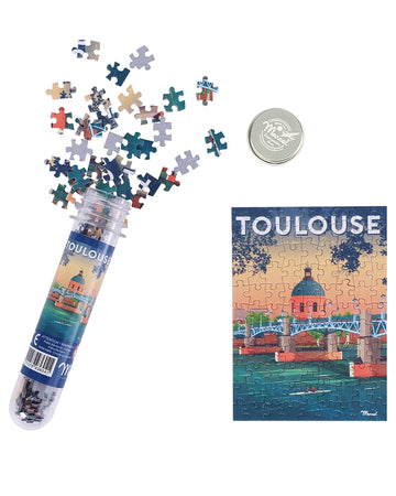 mini puzzle toulouse dome de la grave