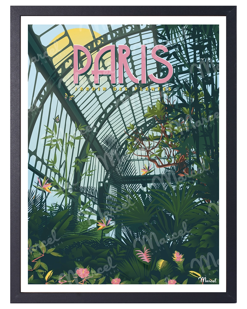 Noir