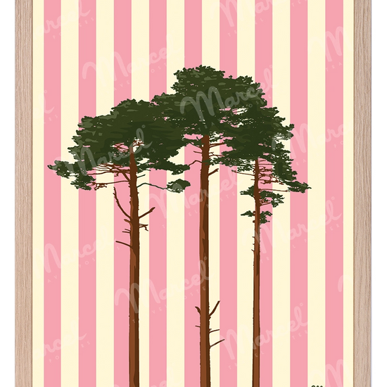 Chêne