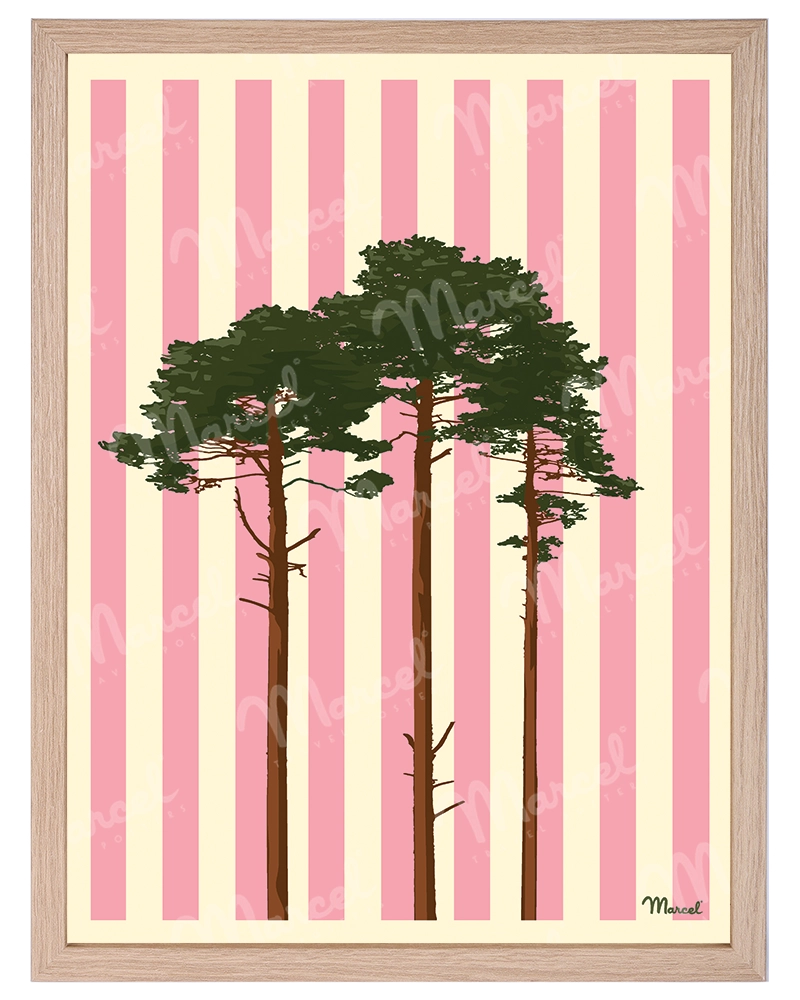 Chêne